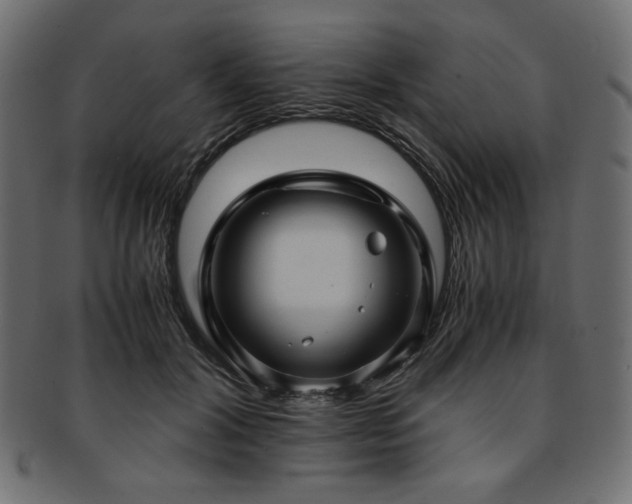 X0000093240604200710031603