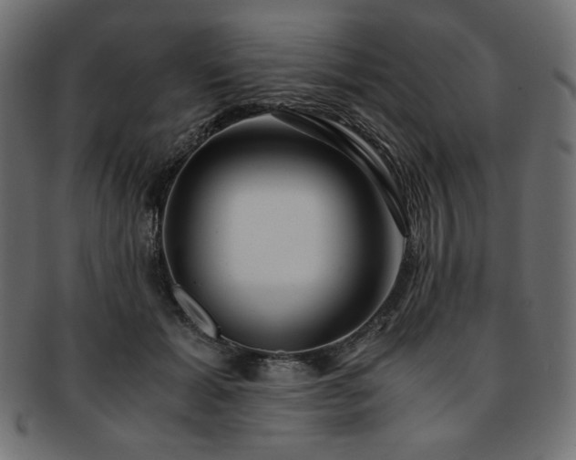 X0000093240605200710031603