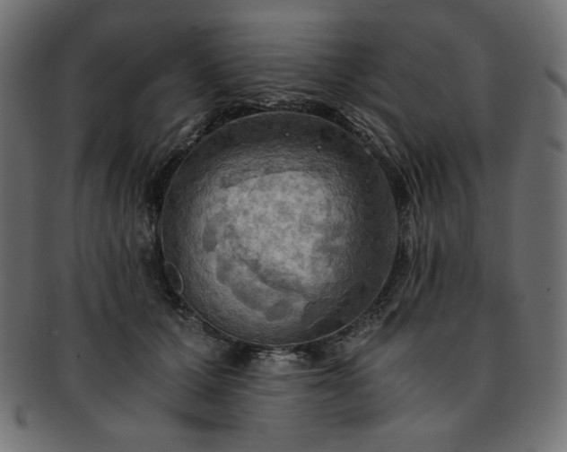 X0000093240607200710031603