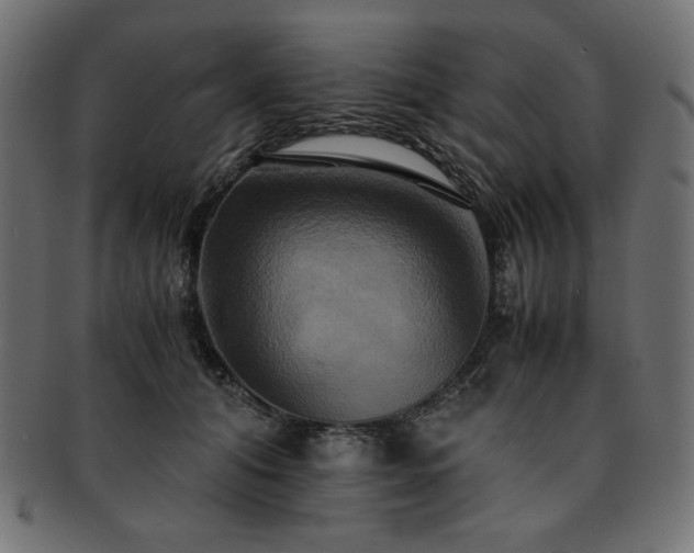X0000093240608200710031603