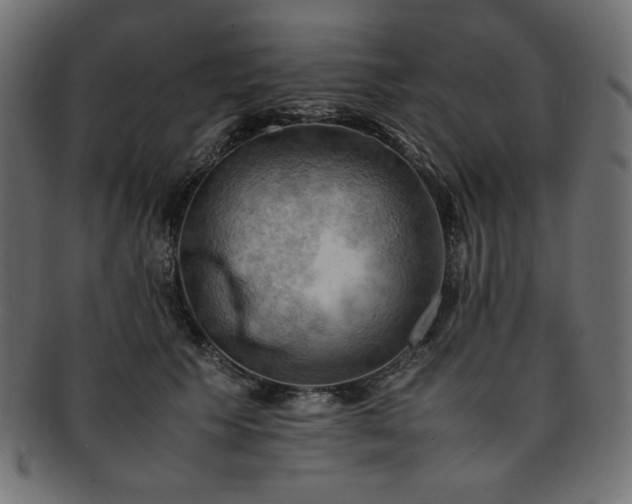 X0000093240609200710031603