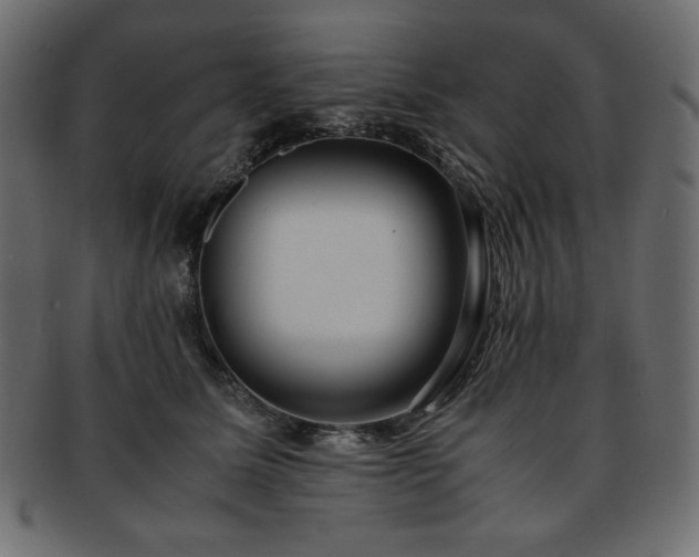X0000093240611200710031603