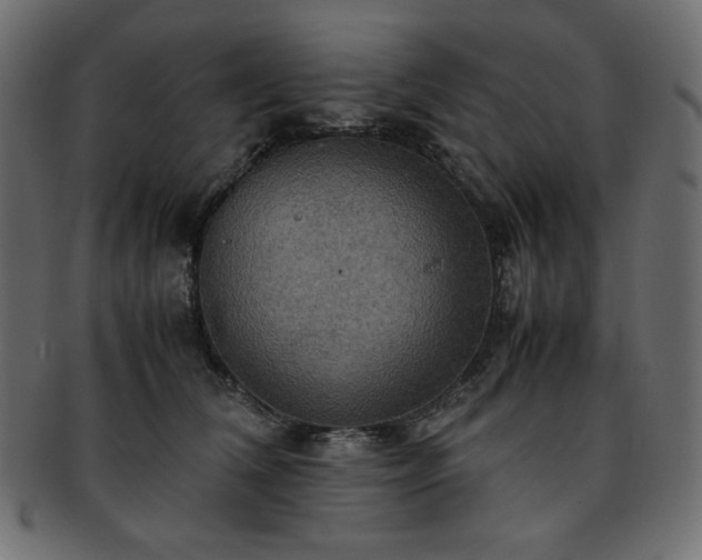 X0000093240612200710031603