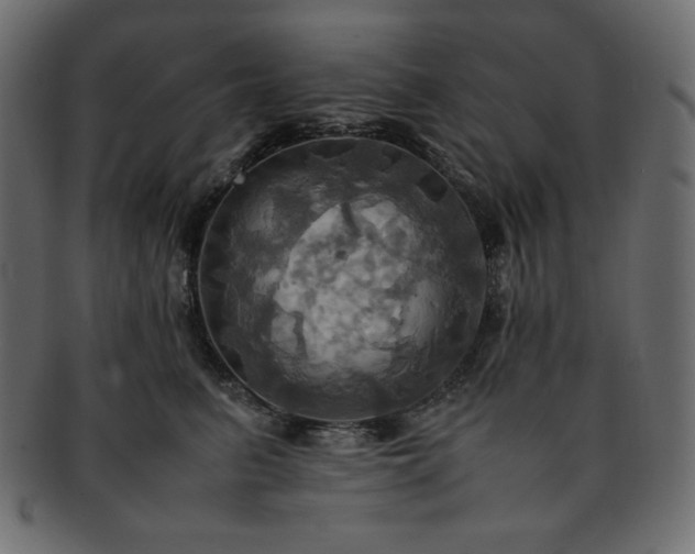 X0000093240615200710031603