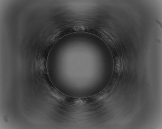 X0000093240616200710031603