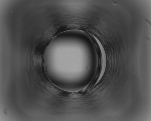 X0000093240617200710031603