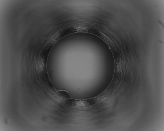 X0000093240618200710031603