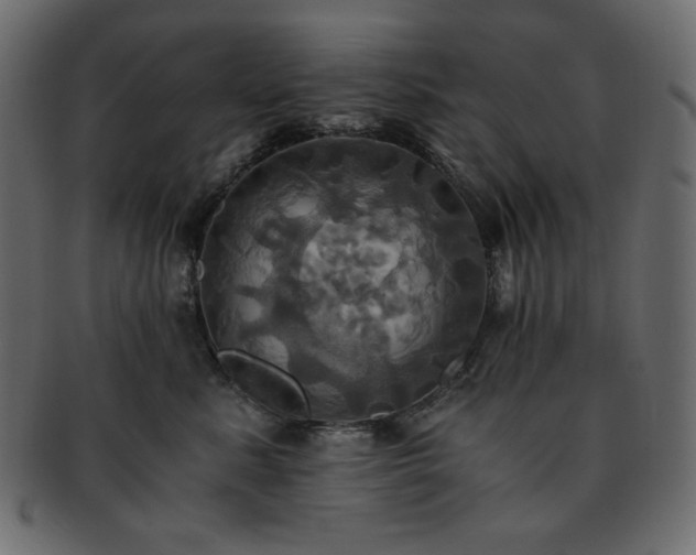 X0000093240619200710031603