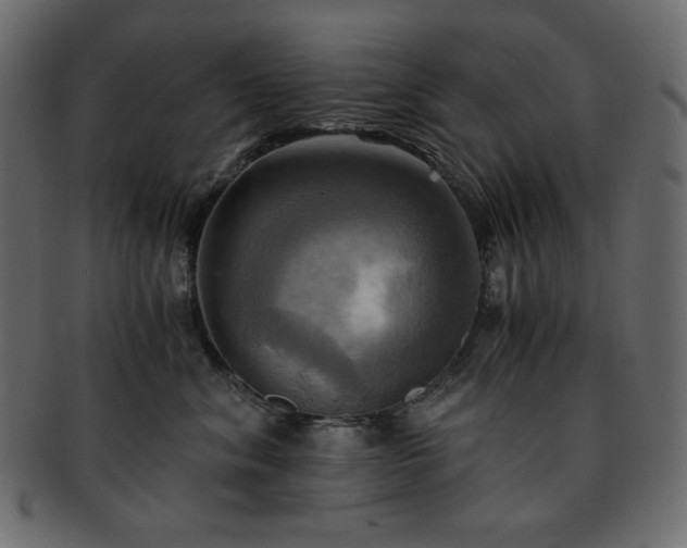X0000093240620200710031603