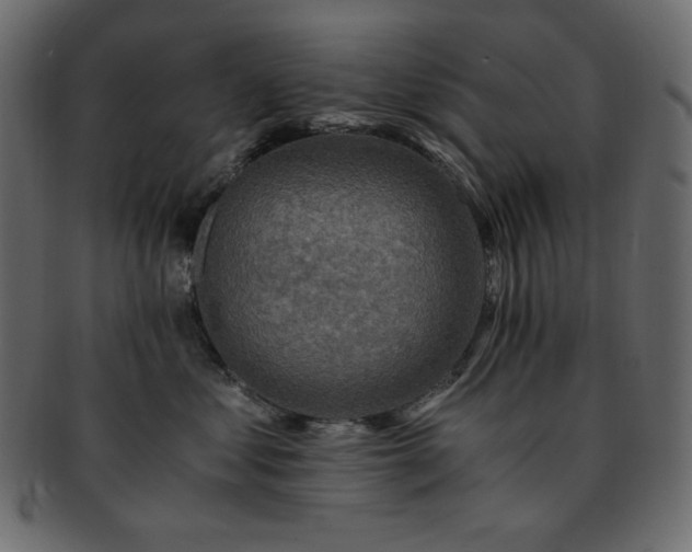 X0000093240621200710031603