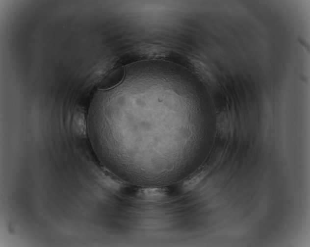 X0000093240622200710031603