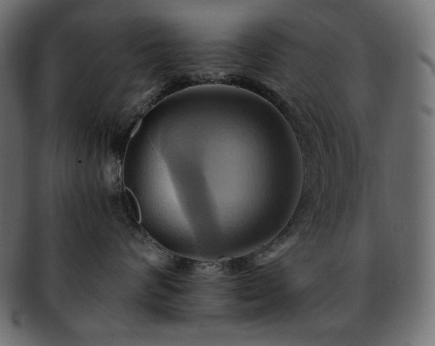 X0000093240624200710031603