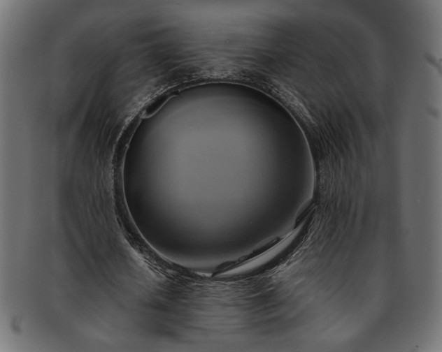 X0000093240626200710031603
