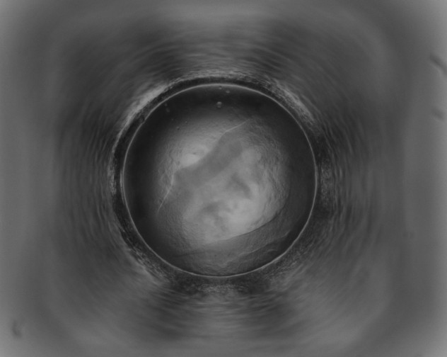 X0000093240628200710031603