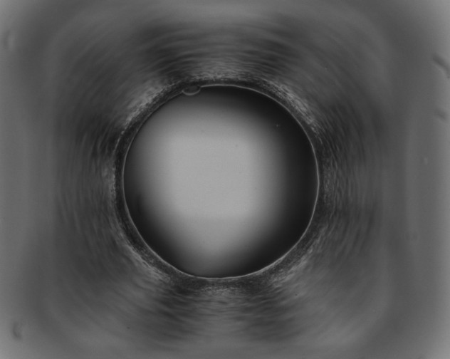 X0000093240629200710031603