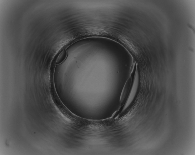 X0000093240630200710031603