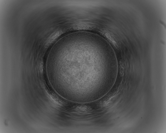 X0000093240631200710031603