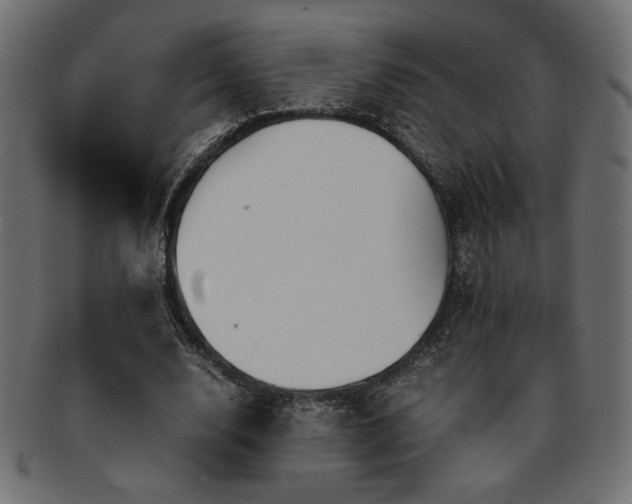 X0000093240632200710031603