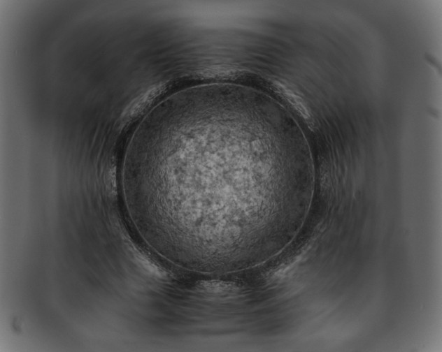 X0000093240633200710031603