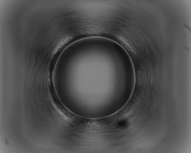 X0000093240634200710031603