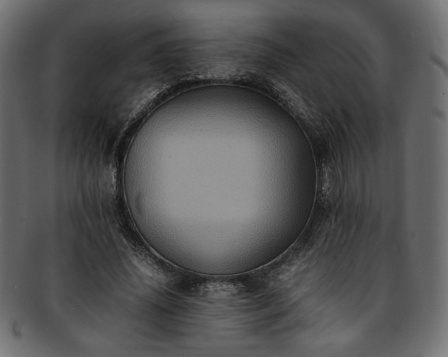 X0000093240636200710031603