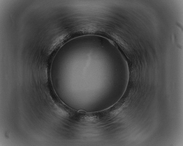 X0000093240638200710031603
