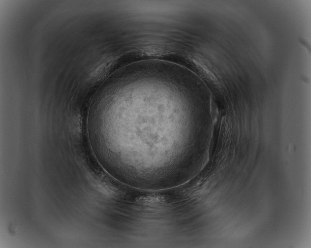 X0000093240639200710031603