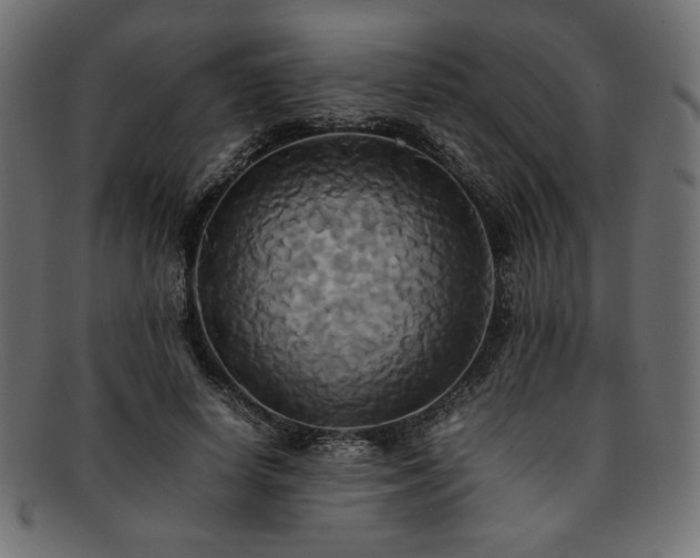 X0000093240642200710031603