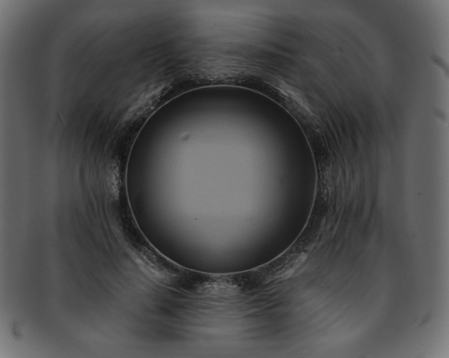 X0000093240644200710031603