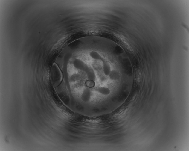 X0000093240645200710031603