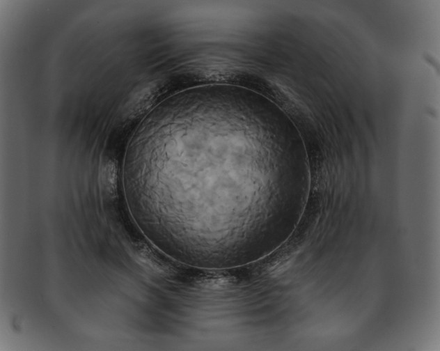 X0000093240646200710031603