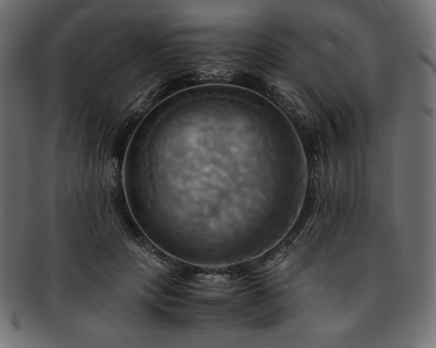 X0000093240649200710031603