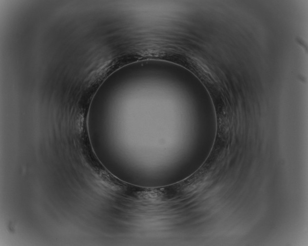 X0000093240652200710031603