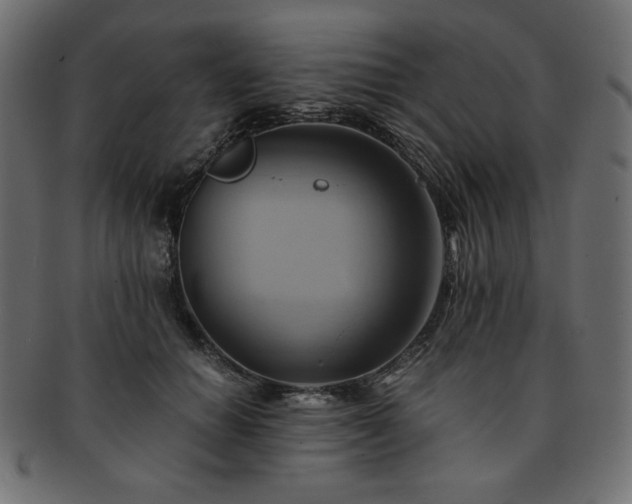 X0000093240654200710031603