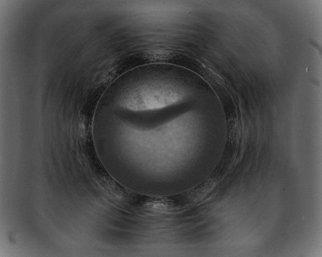 X0000093240655200710031603