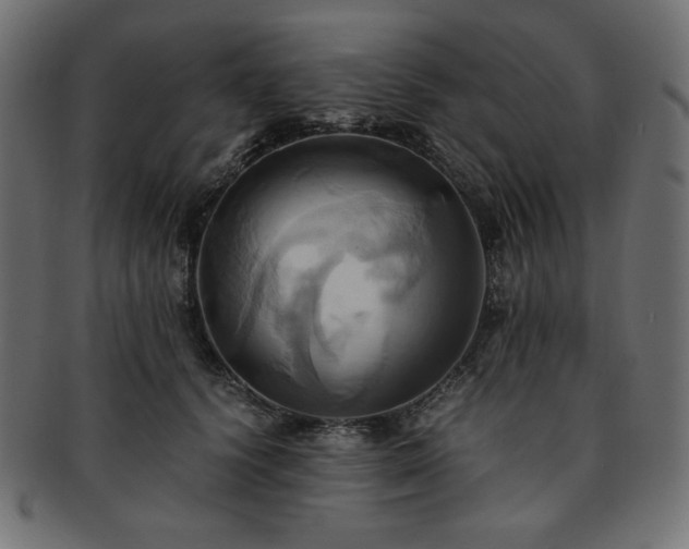X0000093240656200710031603