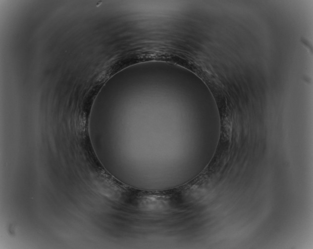 X0000093240657200710031603