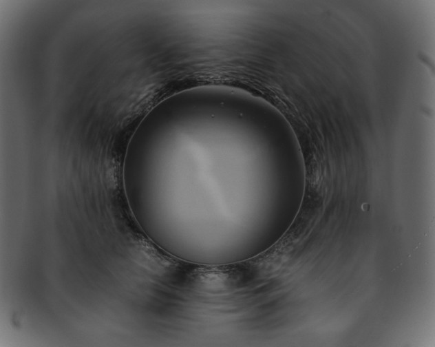 X0000093240658200710031603