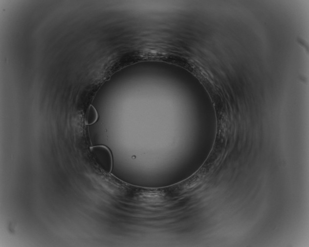 X0000093240659200710031603
