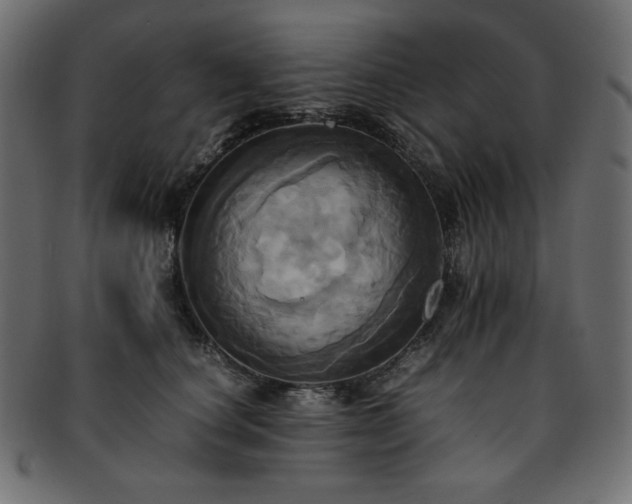 X0000093240660200710031603