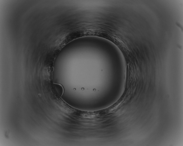 X0000093240661200710031603