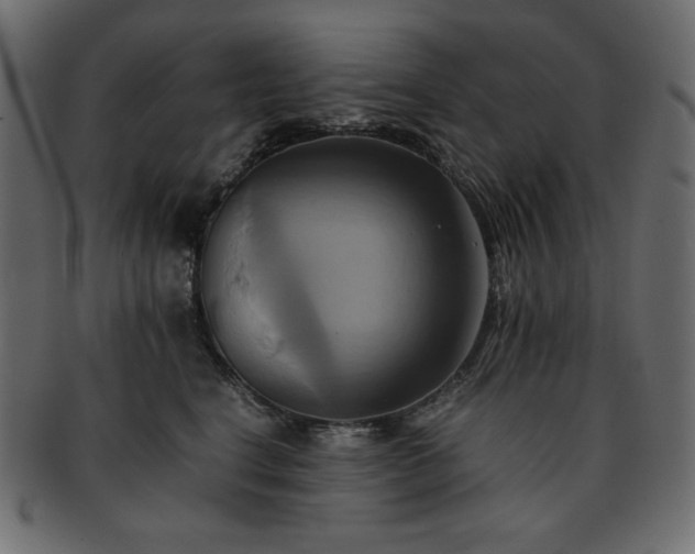 X0000093240664200710031603