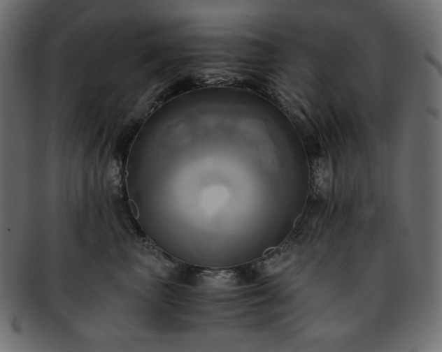 X0000093240667200710031603