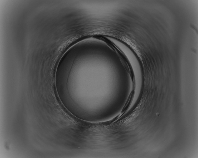 X0000093240673200710031603
