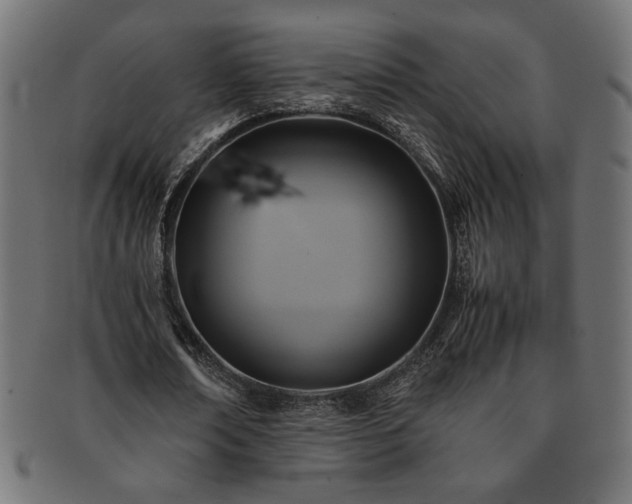X0000093240674200710031603