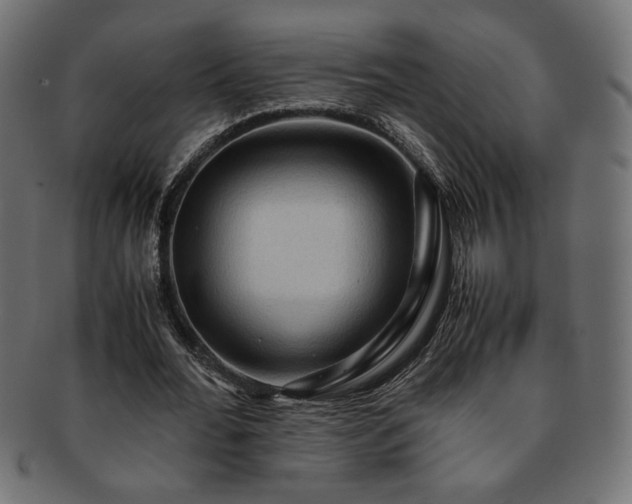 X0000093240676200710031602