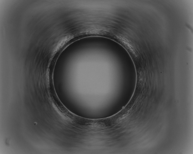 X0000093240678200710031602