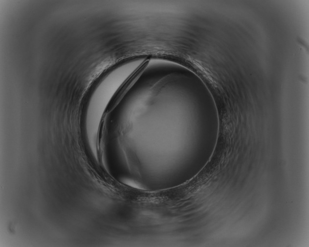 X0000093240679200710031602