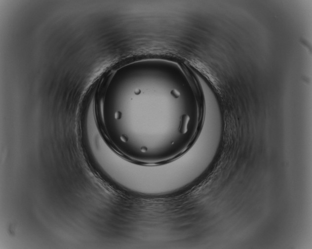 X0000093240680200710031602