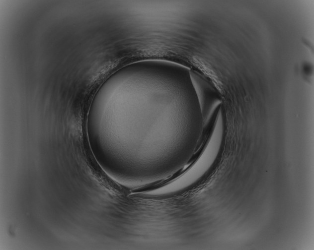 X0000093240681200710031602